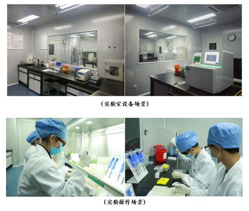 廣州高科技高成長20強企業(yè)風(fēng)采 網(wǎng)絡(luò)技術(shù)研發(fā)與技術(shù)服務(wù)的領(lǐng)航者
